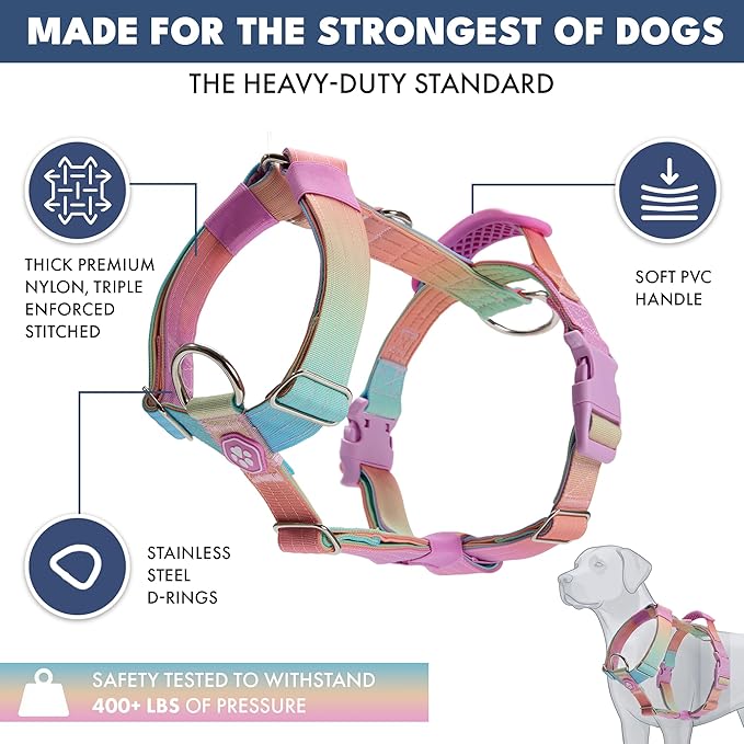 Spark Paws No Pull Dog Harness with Handle for Large Dogs, Heavy Duty Dog Harness for Big Strong Breeds, Adjustable, Y Shaped Padded Halter Design with Front Clip - Pastel Icing - S