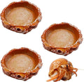 3 Pack Small Reptile Food and Water Bowls, Reptile Terrarium Bowls for Bearded Dragon Lizard Frog Gecko Tortoise Hermit Crab Snail (Orange B)
