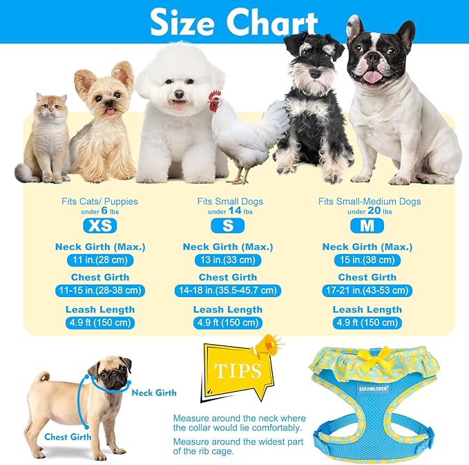 EXPAWLORER Cute Dog Harness Collar Leash Set - Blue Girl Dog Harness Checkered Step-in Design, Adjustable No-Choke Lightweight Mesh Vest for Cats Puppy Small Dogs, Lemon S