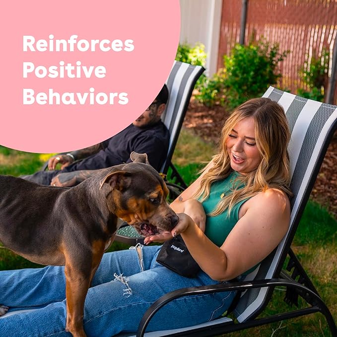 Pupford Freeze Dried Training Treats for Dogs & Puppies, 900+ Two Ingredient Bites (Salmon, 8 oz)