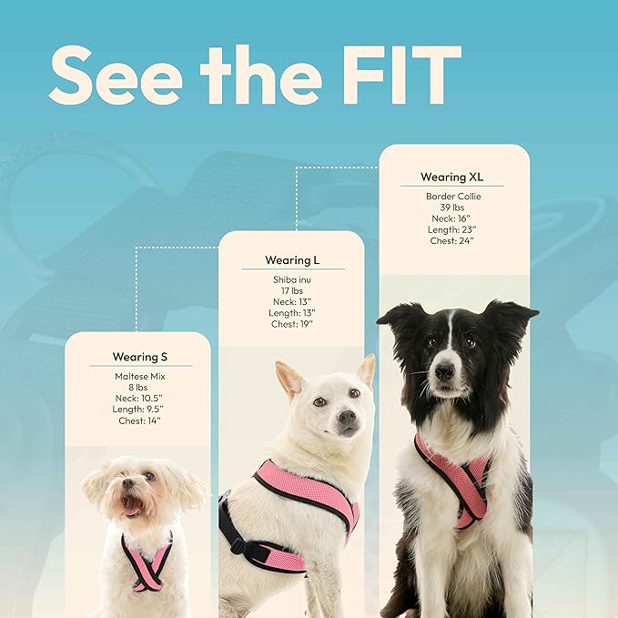 Gooby Comfort X Harness Dual Snap Mesh in Dog Harness - Watermelon, Medium