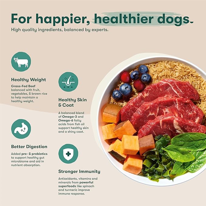 Jinx Premium Dry Dog Food, for All Lifestages - Real Beef, Brown Rice & Sweet Potato Kibble with Superfoods for Immune Support & Probiotics for Digestive Support - No Fillers - 11.5lb