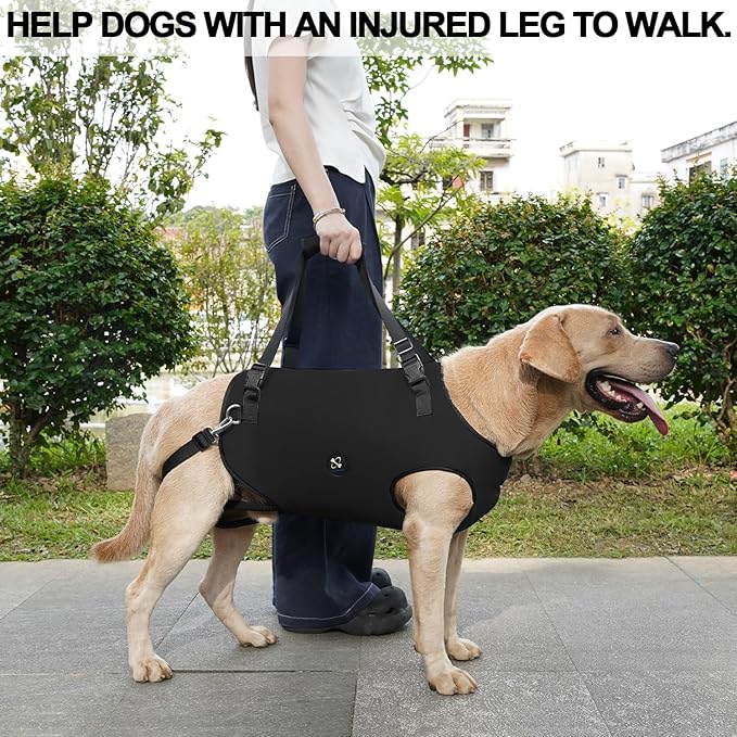 Coodeo Dog Lift Harness, Pet Support & Rehabilitation Sling Lift Adjustable Padded Breathable Straps for Old, Disabled, Joint Injuries, Arthritis, Loss of Stability Dogs Walk (Black, M)