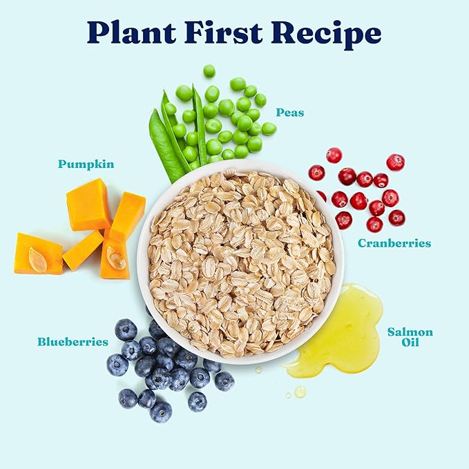 Solid Gold Dry Dog Food for Adult & Senior Dogs - Made with Oatmeal, Pearled Barley, and Fish Meal - Holistique Blendz Potato Free High Fiber Dog Food for Sensitive Stomach & Immune Support -24 LB