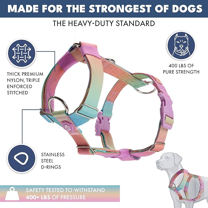 Spark Paws No Pull Dog Harness for Large Dogs, Heavy Duty Dog Harness for Big Strong Breeds, Adjustable, Y Shaped Padded Halter Design with Front Clip - Pastel Icing - L