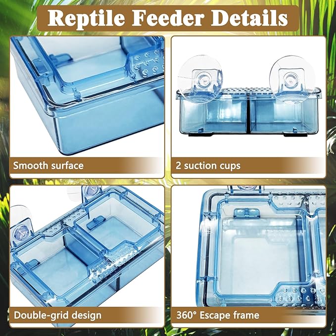 Hamiledyi Transparent Reptile Feeder with Suction Cup Separated Double Compartments Chameleon Bowl Gecko Live Worm Feeder Anti-Escape Reptile Supplies for Lizard Bearded Dragon (Blue, 2 Pcs)