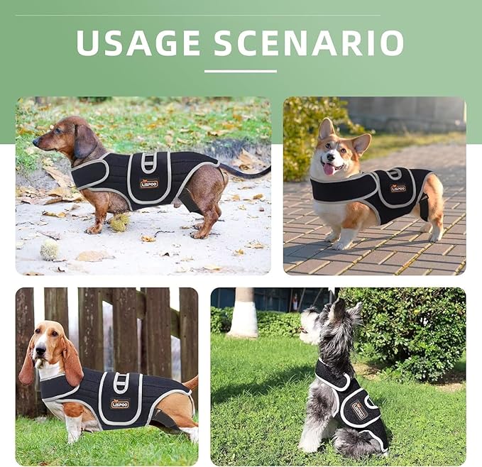 IVDD Dog Back Brace for Dachshunds & Slipped Disc | Post-Surgery Support & Arthritis Relief | Vet-Recommended Back Brace for Dogs | Breathable with Support Rods & Straps (Size L)