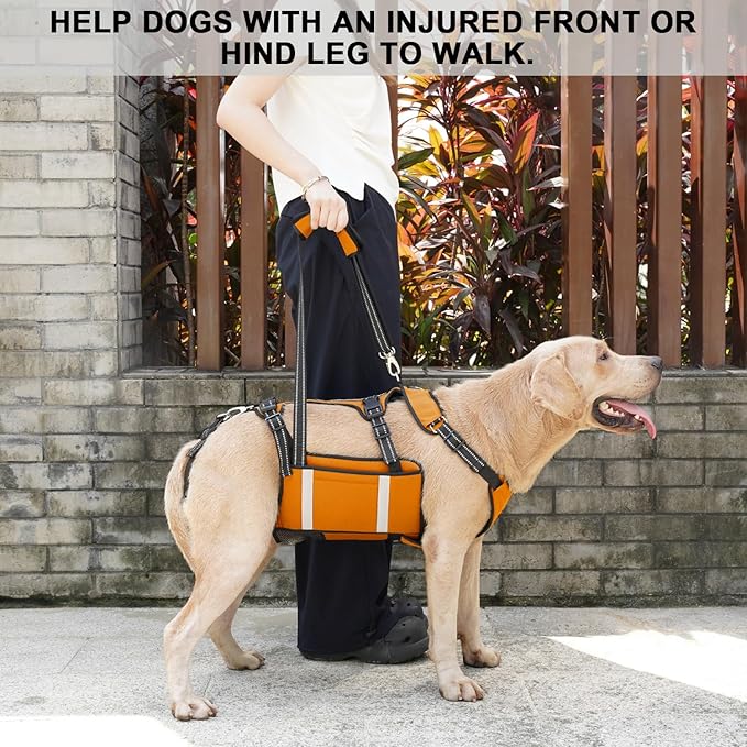 COODEO Mobility Dog Lift Harness, Emergency Carry Sling, Pet Rear Leg Support Rehabilitation Lifts Vest, Dog Carrier for Senior Dogs Joint Injuries, Arthritis (Orange, XL)
