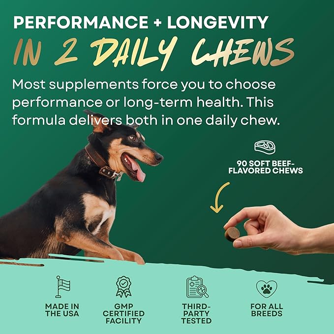 High-Performance & Longevity Soft Chews for Hunting, Sport and Working Dogs with Glucosamine, Chondroitin, Omega-3, Antioxidants, Ashwagandha, Probiotics, Beef Flavor, 90 Count
