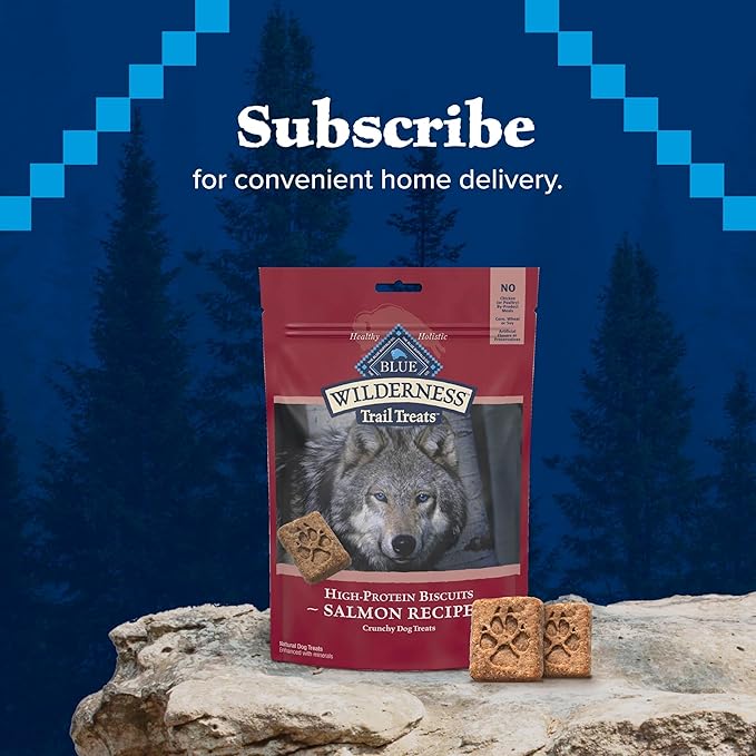 Blue Buffalo Wilderness Trail Treats High Protein Grain Free Dog Biscuits Crunchy Dog Treats, Salmon Recipe, 10-oz Bag