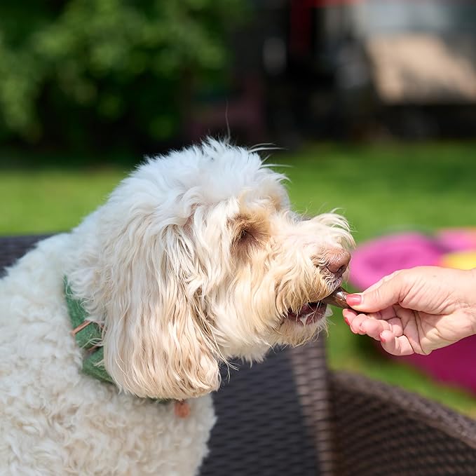 SPOT Pup Ice- Ready to Freeze at Home Dog Treats-Edible Chews for Medium Breed Dogs & Puppies with Real Chicken to Keep Your Pup Cool Year Round, Waffle Cone Strawberry Flavor, 2pcs