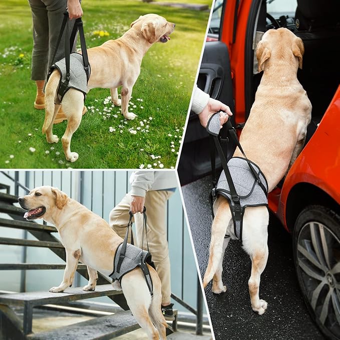 Dog Lift Harness, TORJOY Dog Sling for Small Medium Large Dogs, Dog Support Harness for Back Legs, Adjustable Soft Padded Pet Harness for Olderly, Injured, Arthritic, Disabled Dogs, Grey, XL