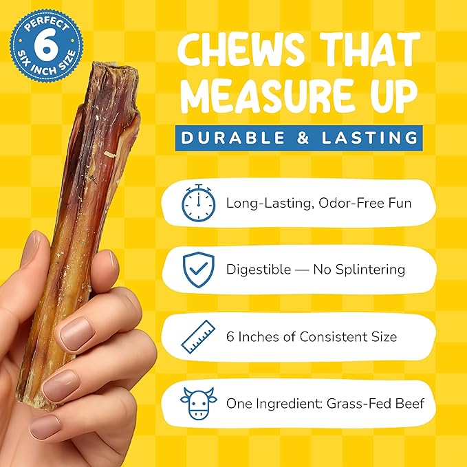 CHARLEY & ME All-Natural Bully Sticks for Dogs Made in The USA - Low-Odor, Rawhide-Free 6” Beef Chews for Aggressive Chewers & Dental Health (Pack of 25)