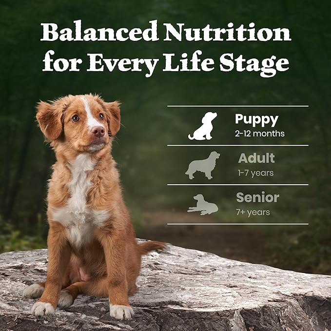 Blue Buffalo Wilderness 37 g Protein, Meat Rich Natural Puppy Dry Dog Food, Lamb, Chicken-Free Formula, 4.5lb Bag