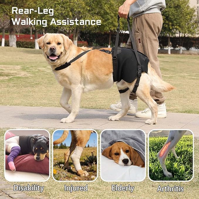 NOYAL Supet Dog Lift Sling for Large Dogs – Hind Leg Support Harness for Senior, Injured, Disabled Dogs, Rear Leg Mobility Aid, Padded Handle for Stairs, Car, Walk