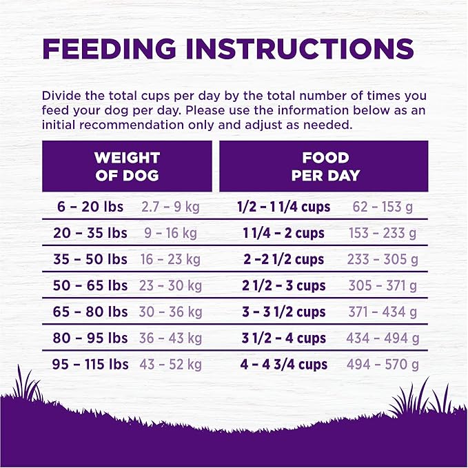 Wellness Complete Health Dry Dog Food, Wholesome Grains, Natural, Chicken & Oatmeal, (5-Pound Bag)