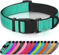 Joytale Reflective Dog Collar, Soft Neoprene Padded, Metal D-Ring, Nylon Pet Collar Adjustable for Puppy and Small Dogs, Teal, XS