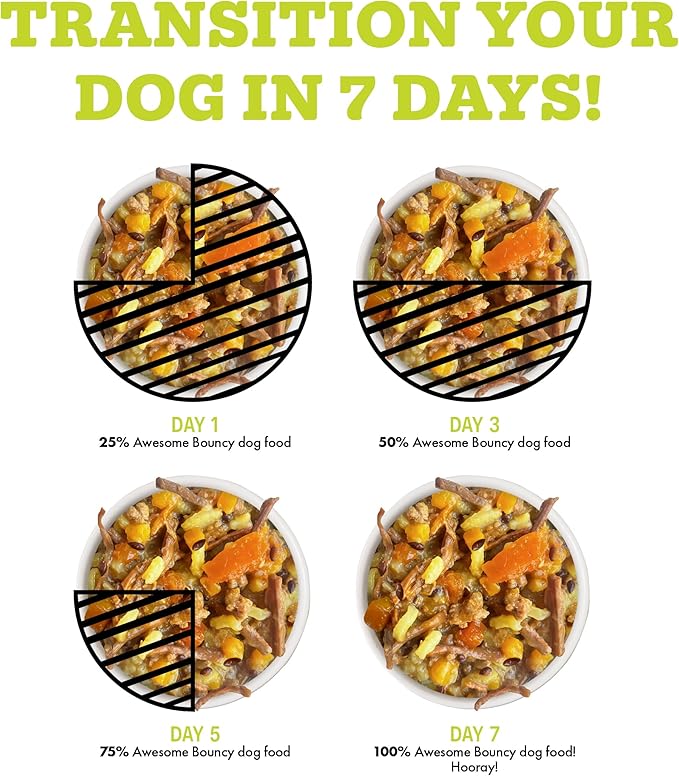 Weruva Awesome Bouncy Wet Dog Food, Beef & Brown Rice, 6oz Can (Pack of 8)
