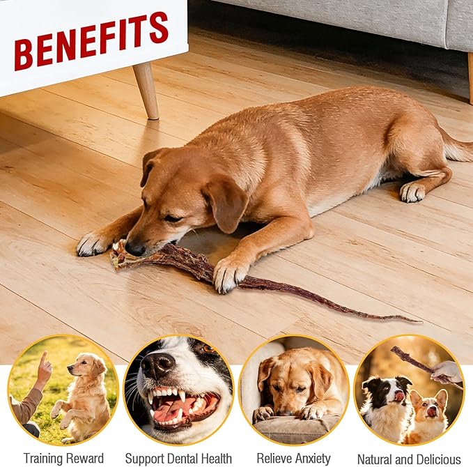 Grass-Fed Beef Tail Bones for Dogs – Durable Chewing Treats, No Additives or Fillers, Supports Teeth & Gum Health,Single Ingredient, Rawhide-Free & Digestible for All Dogs