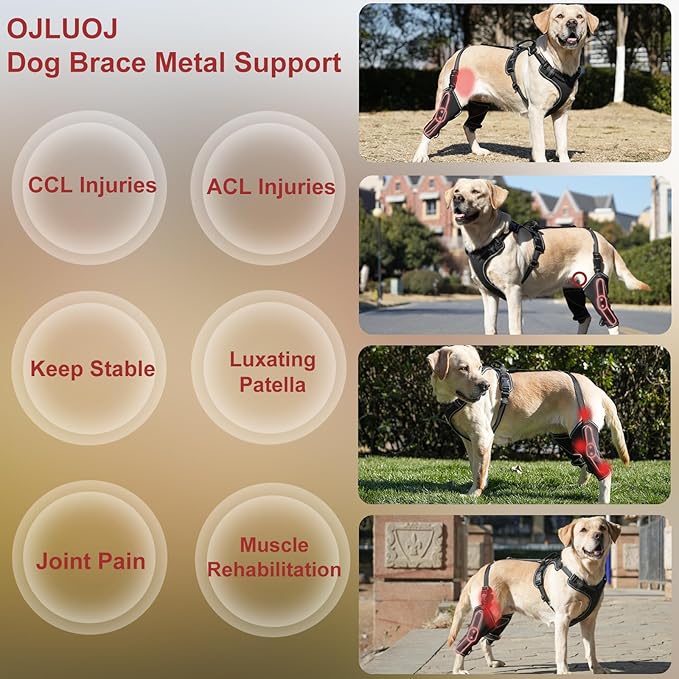 Dog Hip Knee Metal Hip Brace Support Adjustable Length with Traction Rope Weared on Front & Back Leg Puppy M Sizes Dogs Pet Relieve Joint Pain Surgery Aid Recovery Relieve ACL/CCL Pain