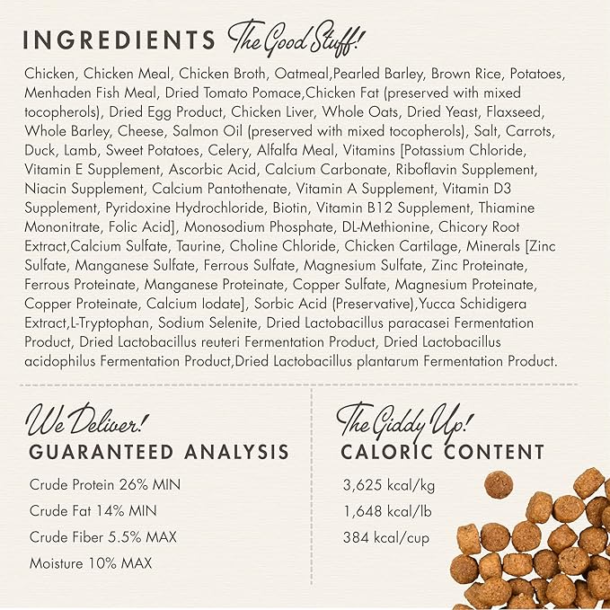 Fromm Large Breed Puppy Gold Premium Dry Dog Food - Dry Puppy Food for Large Breeds - Chicken Recipe - 30 lb