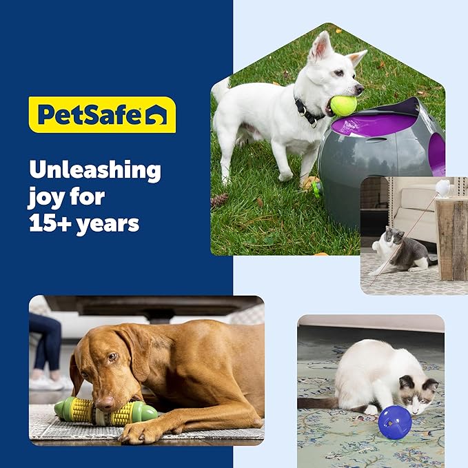 PetSafe Busy Buddy Toys Dog Treat Refills (60 Refills) Dog Treats Medium, Dogs Rawhide and Peanut Butter Flavors, Keeps Your Furry Friend Engaged, Resealable Bag for Freshness