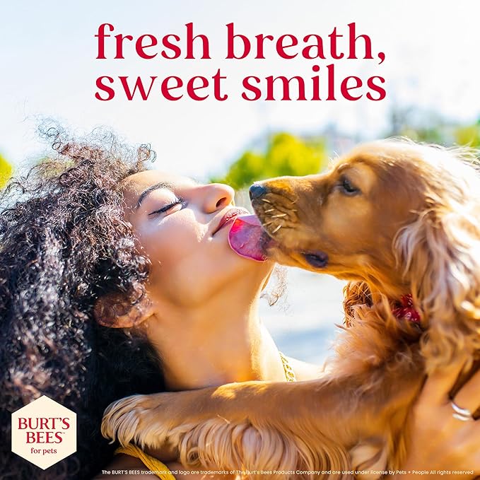 BURT'S BEES FOR PETS Dental Treats for Dogs with Manuka Honey & Ginger, Holistic, Plant-Based Oral Care, 98% Natural Origin Formulas, Peppermint Flavor, Dog Treats Small Dogs, Sz Sm 10ct, 7.4 oz