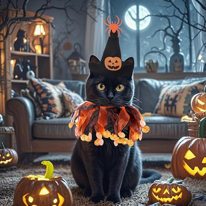 2 Pcs Cat Halloween Witch Costume Suit - Pet Witch Pumpkin Hat and Tutu Collar, Cute Cat Outfit for Cats and Small Dogs