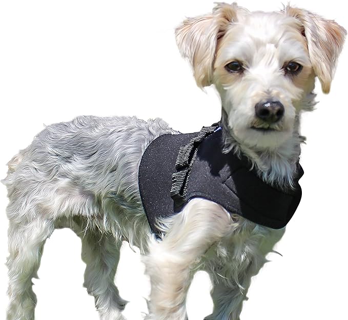 Front Dog Vest Harness | No Pull Harness | Designed for Small Dogs with Broad Chests | Compatible with Dog Wheelchair