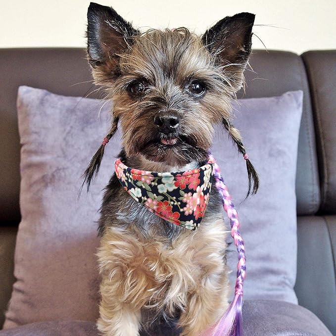 3PCS Bow Tie Dog Collar and Leash Set Plaid/Camo/Dots/Flower Dog Banadanas with Bell 3 Size Adjustable for Small Dogs Puppies and Cats (M, Black Flower)