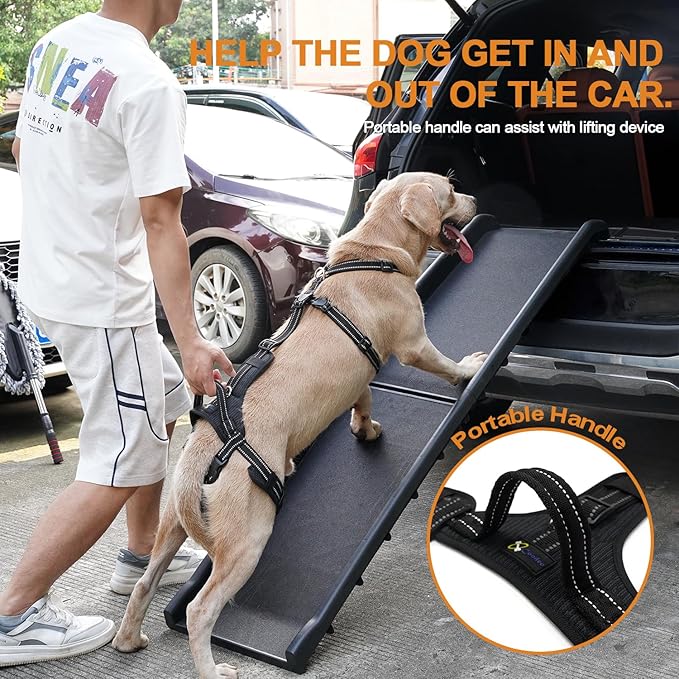 COODEO Professional Dog Sling for Hind Leg Support - Aid for Post-ACL/TPLO Surgery & Senior Dogs, Secure,Breathable & Machine-Washable with Reflective Edging for Safe Walks (Black, L)