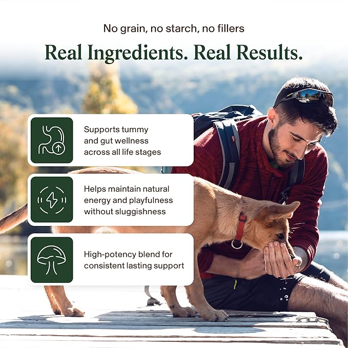 Real Mushroom Immune Pet Chews – For Daily Digestive & Immune Health – Mushrooms for Dogs & Cats Functional Treat – Mushroom Supplement for Dogs & Cats – 1 to 4 Chews For All Breeds & Sizes (60 Count)
