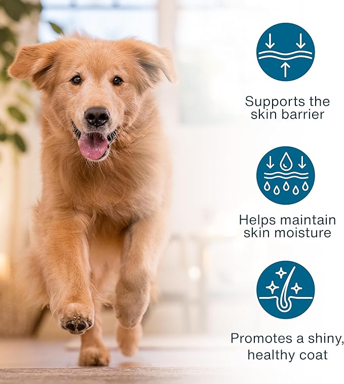 JustFoodForDogs JustFresh Boost Sensitive Skin Dog Food Toppers for Immune Support and Healthy Coat, Human-Grade Fresh Pet Meal Booster, 8 oz Pouches - 8 Pack