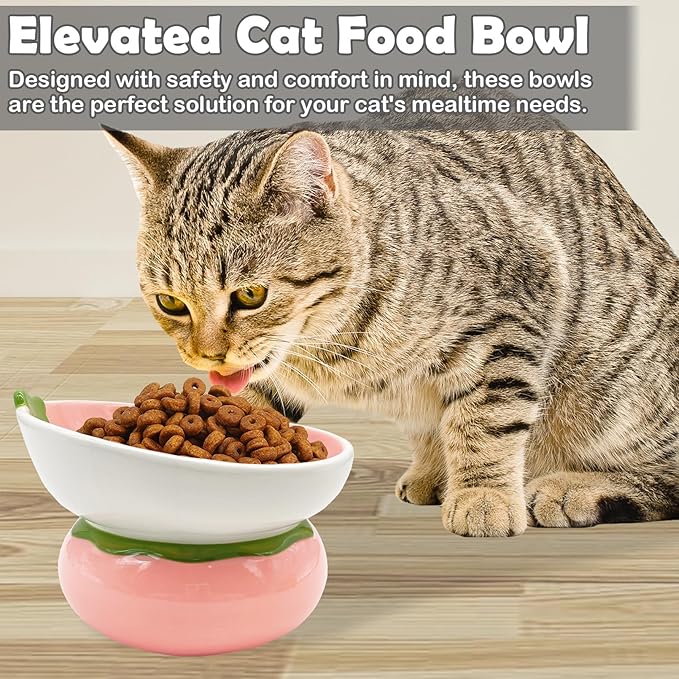 Hamiledyi Ceramic Raised Cat Bowls 15° Tilted Elevated Kitten Food Water Bowl Shallow Whisker Fatigue Kitty Dish Fruit Pet Feeding Bowls Feeder for Indoor Cats Small Dog (Pink Strawberry)