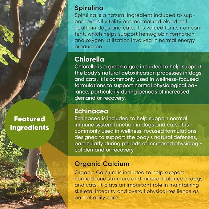 Rooted Owl Blood Support - Immunity, Recovery and Iron Supplement for Dogs & Cats - Anemia Support with Spirulina and Chlorella - 60/ct Vegan Capsules