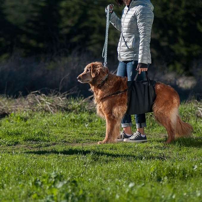Walkabelly Support Sling, Easy-to-Use Belly Harness for Daily Mobility, Stop Straining to Lift Your Pet, Quick-Lift Original Design by Walkabout Harnesses (Small Walkabelly)
