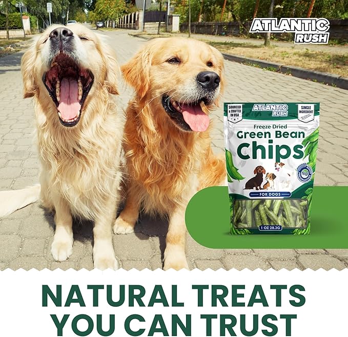 Atlantic Rush Freeze Dried Green Bean Chips for Dogs- 1oz Resealable Bag of Dried, Green Crispy Beans- Single Ingredient, No Salt or Canola Oil- Crispy, Shelf Stable - Made in USA (3, 1 oz Bag)