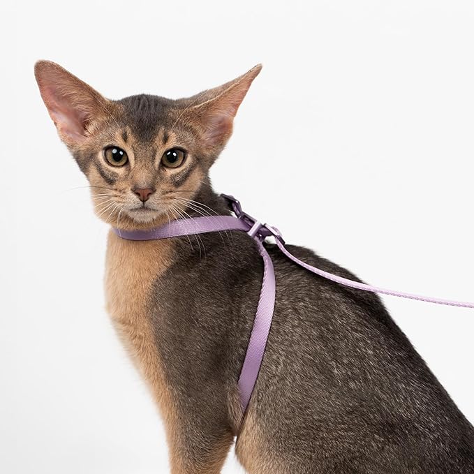 Cat Harness Escape-Proof Anti-Choking Adjustable Nylon Harness Lightweight with Anodized Aluminum Buckle, Ideal for Cats Outdoor Walking Training, IDA Award (Monet Purple, M (17.7"))