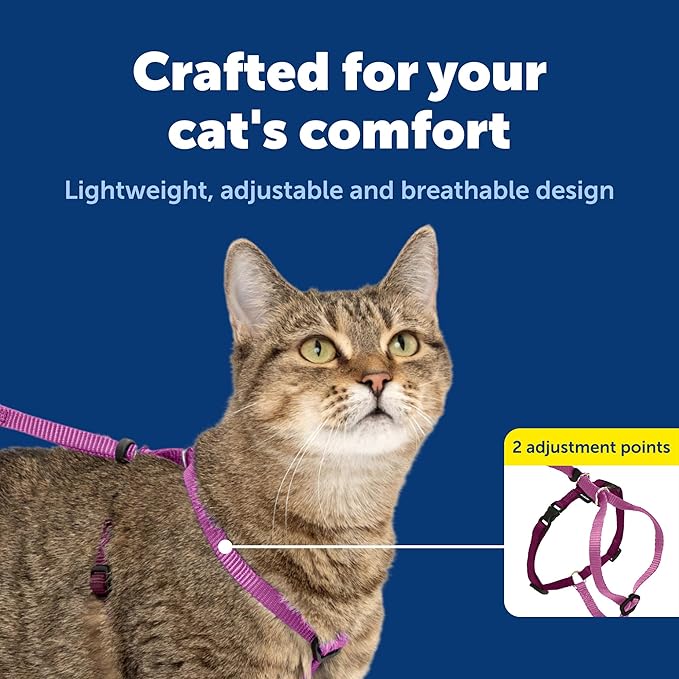 PetSafe Come With Me Kitty Cat Harness & Bungee Leash - Comfortable Cat Harness with Lightweight Bungee Leash for Outdoor Fun - More Secure Walks - Small - Dusty Rose