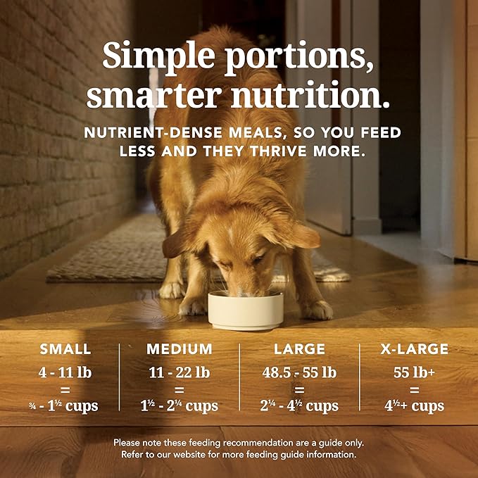 K9 Natural Lamb Freeze Dried Dog Food, High-Meat Natural Complete Meal or Meal Toppers for Dogs, Grass-Fed Lamb from New Zealand, Grain-Free, GMO-Free, Complete & Balanced Nutrition, 1.1lb