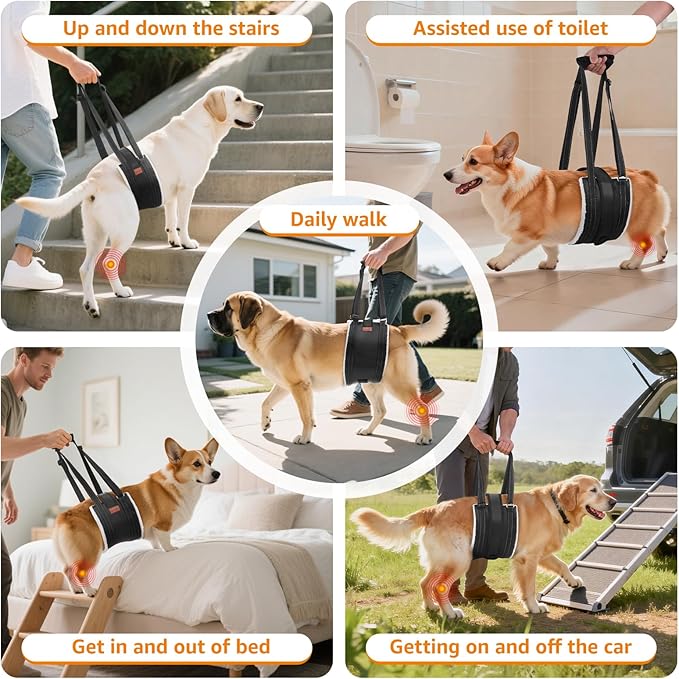 LOOBANI Dog Lift Harness for Back Legs, Portable Dog Sling for Large Dogs Hind Leg Support, Comfortable Leg Support Assistance for Elderly Dogs with Hip, ACL Brace, Senior, Injured