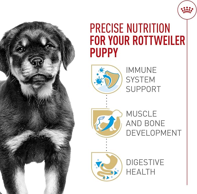 Royal Canin Breed Health Nutrition Rottweiler Puppy Dry Dog Food, 30 lb Bag
