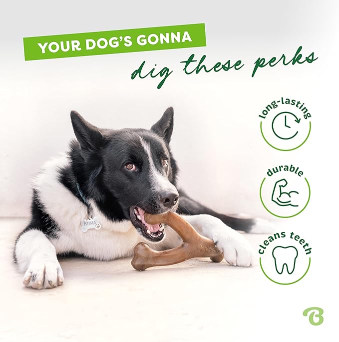 Benebone Peanut Butter Flavored Wishbone Chew Toy
