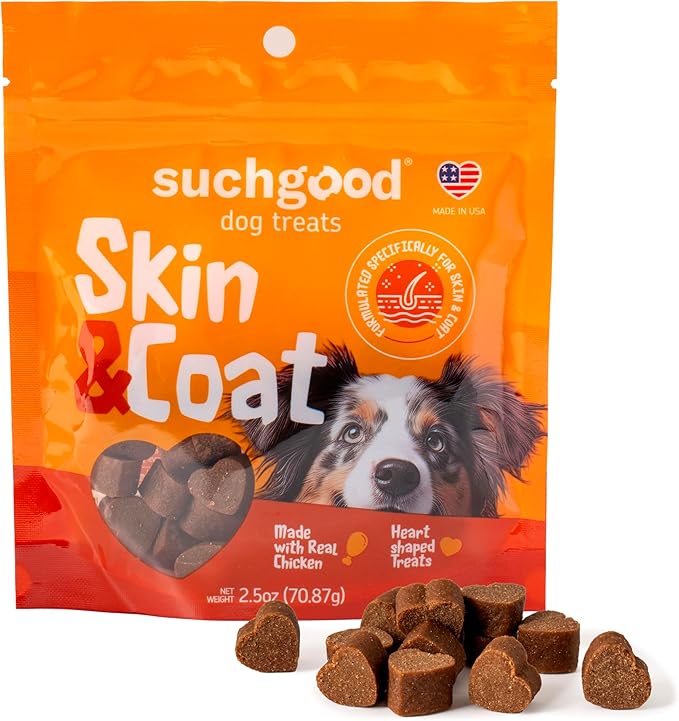 SuchGood Hip and Joint + Skin and Coat Dog Treats - Support Chews for All Breed Sizes and Ages, Glucosamine and Chondroitin + Salmon and Flaxseed Oil (Chicken Flavor, 2 Packs)
