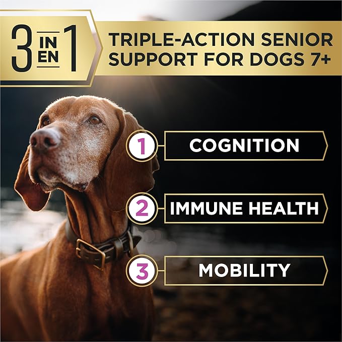 Purina Pro Plan AdvantEDGE Senior Support Plus Small Breed Shredded Blend Chicken and Rice Formula Dry Dog Food - 3.5 lb Bag