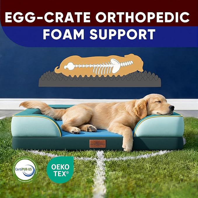 Comfort Expression Orthopedic Dog Bed for Extra Large Dogs 42x30 Inch, Waterproof Egg Crate Foam XL Pet Bed with Removable Bolsters, Dog Couch with Washable Cover & Non-Slip Bottom, Seattle