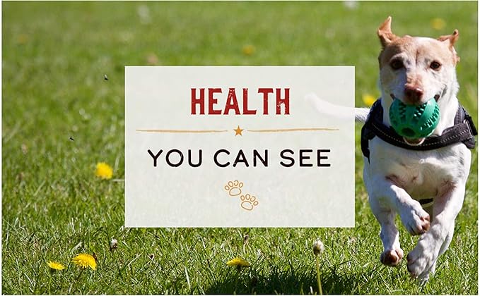 Merrick Limited Ingredient Diet Healthy Grains Canned Wet Dog Food Chicken & Brown Rice Recipe for Adult Dogs, 12.7 oz Can