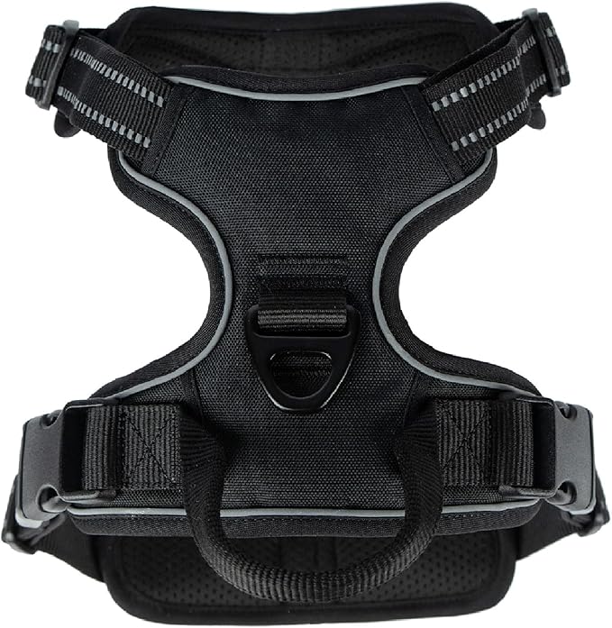 Voyager Dog Harness Dual Leash Attachment No-Pull Control Adjustable Soft but Strong Pet Harness for Medium and Large Dogs with 3M Reflective Technology, Black Nylon, XS (Chest: 13-16")