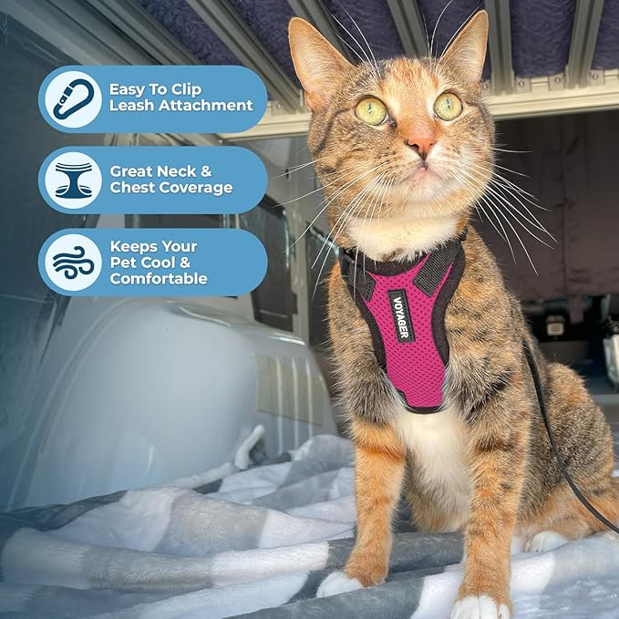 Voyager Escape-Proof Step-in Lock Cat Harness & 5ft Neoprene-Handle Leash Set All-Weather Mesh with Reflective Stitching for Small to Large Cats by Best Pet Supplies, Fuchsia/Black Trim, XXS