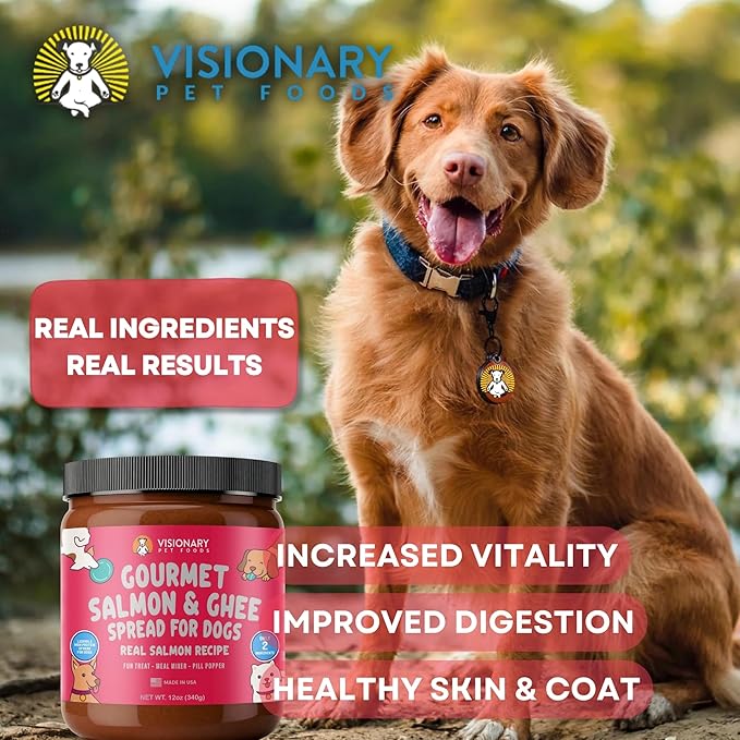 Visionary Pet Foods Salmon Meat Spread - Healthy Dog Treat - Alternative to Dog Peanut Butter, Xylitol Free, No Sugar and Filler Free - Use on Lick Mat, Food Mixer, Pill Pockets - 12oz Jar